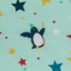 Penguin Starry Sky