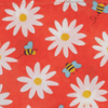 Tiger Orange Nice Daisy