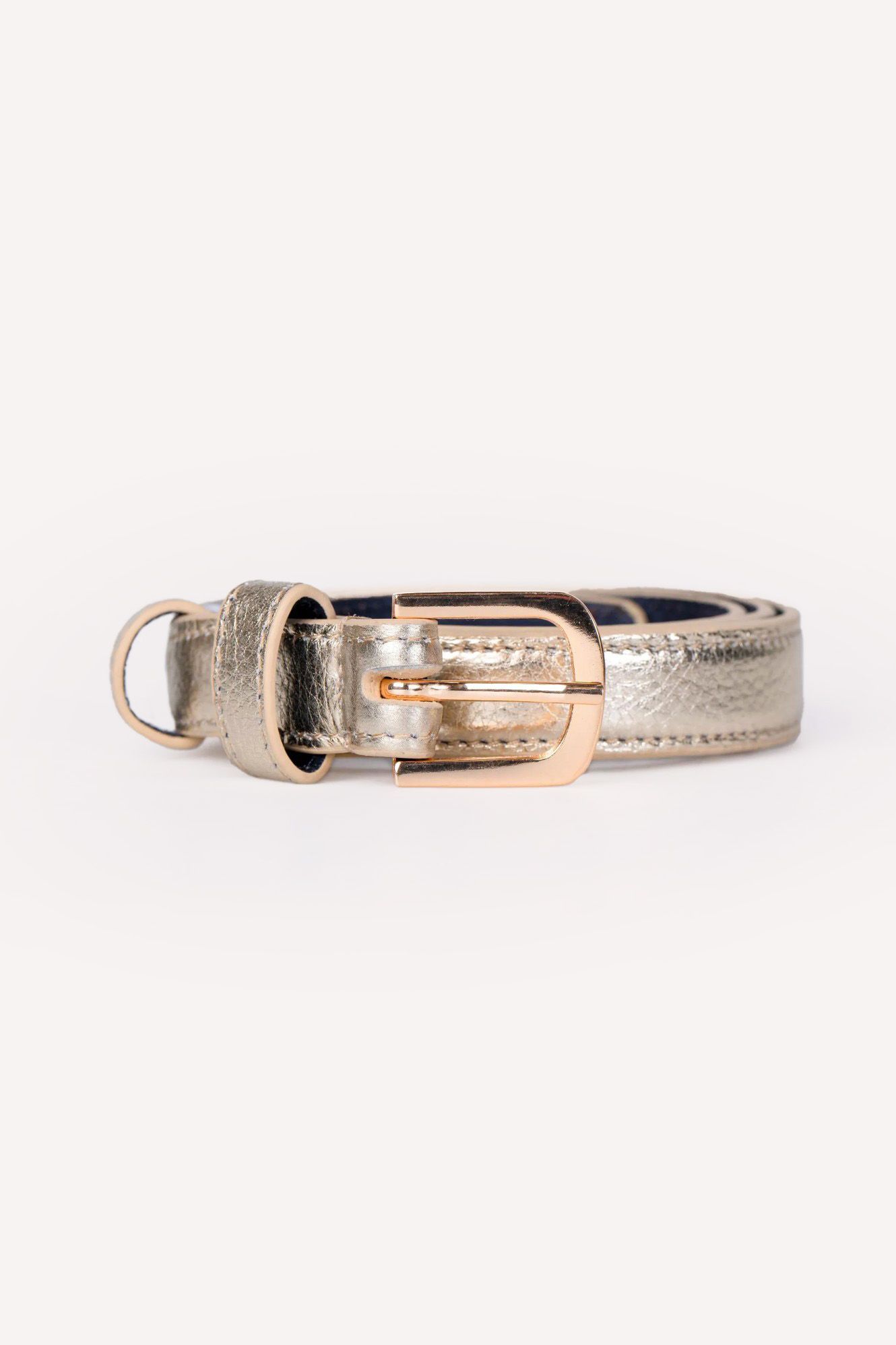 Taylor Metallic Skinny Belt